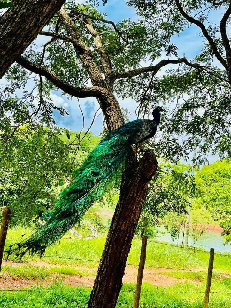 Pousada Do Lago Dutra Guapé Kültér fotó